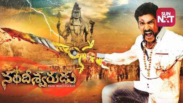 Nandhieswarudu Poster 5