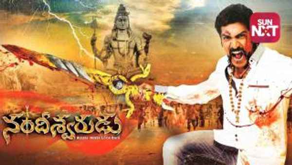 Nandhieswarudu Poster 6