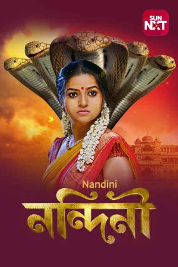 Nandini Poster 4