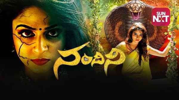 Nandini Poster 2