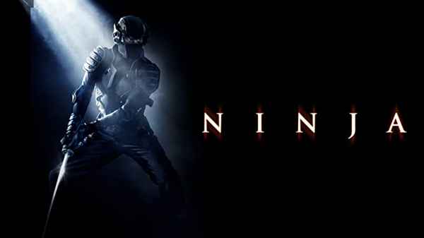 Ninja Poster 3