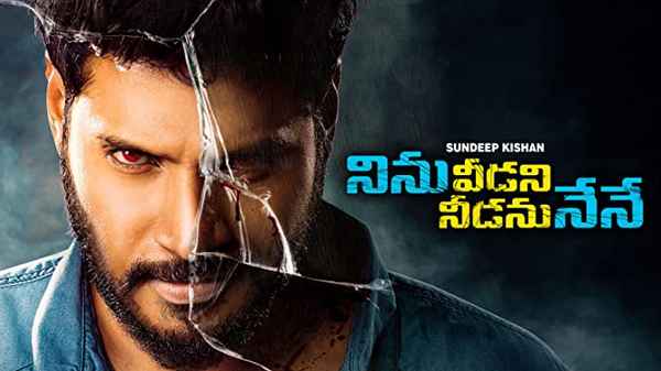 Ninu Veedani Needanu Nene Poster 7