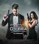 Operation Cobra Poster 7