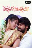 Pellaina Kothalo Poster 4