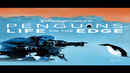 Penguins: Life On The Edge Poster 5