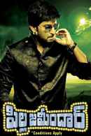 Pilla Zamindar Poster 1