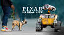 Pixar In Real Life Poster 5