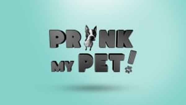 Prank my Pets Poster 3