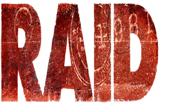 Raid Poster 4