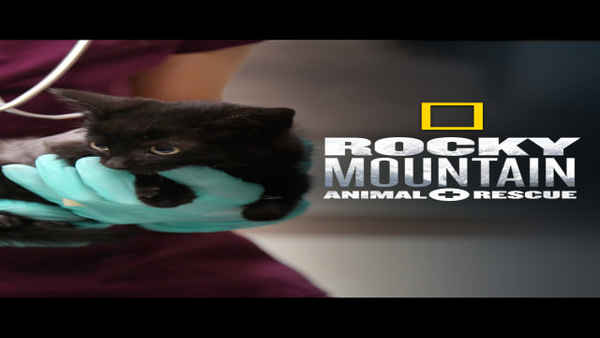 Rocky Mountain: Animal Rescue Poster 7