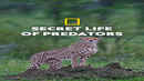 Secret Life Of Predators Poster 7