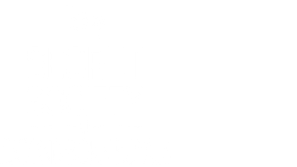 Secret Society of Second-Born Royals Poster 1