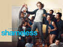 Shameless: The Complete First Season Poster 6