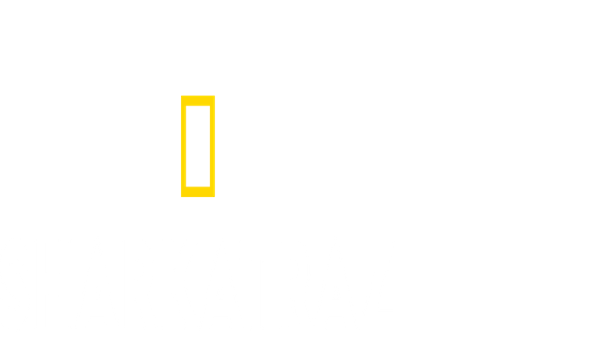 Sharkatraz Poster 6