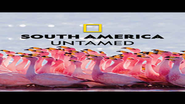 South America: Untamed Poster 1