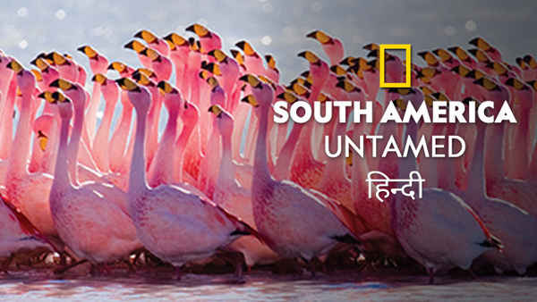 South America: Untamed Poster 2