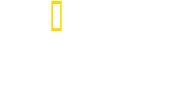 South America: Untamed Poster 3