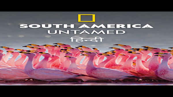 South America: Untamed Poster 4