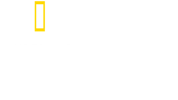 Supercar Megabuild Poster 5