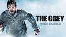 The Grey Poster 7