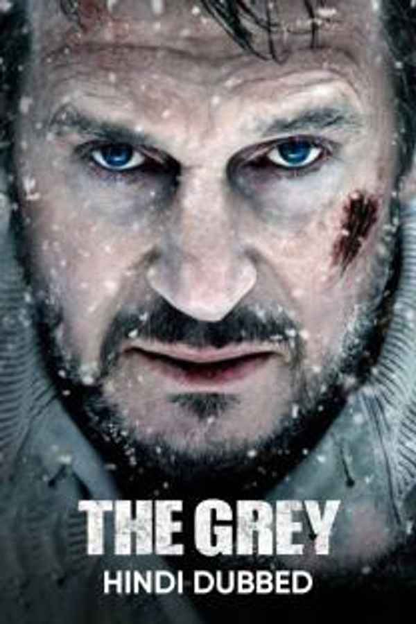 The Grey Poster 5