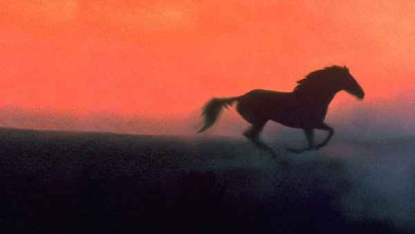 The Horse Whisperer Poster 1