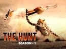 The Hunt Poster 2