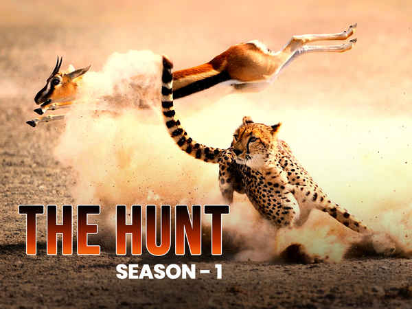 The Hunt Poster 2