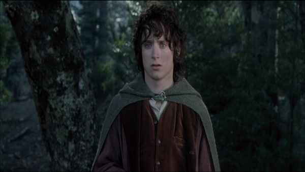 The Lord of the Rings: The Fellowship of the Ring Poster 2