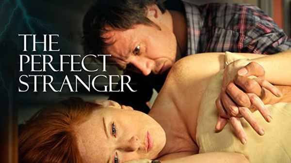 The Perfect Stranger Poster 2