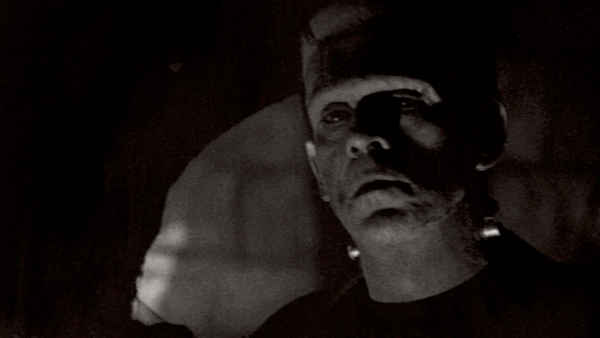 The Strange Life of Dr. Frankenstein Poster 1