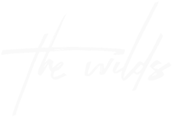 The Wilds – Poster 7