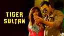 Tiger Sultan Poster 5