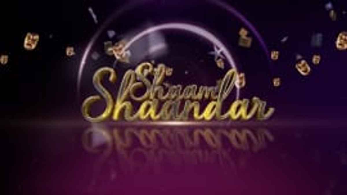 Shaam Shaandaar  Welcoming 2019 With A Bang