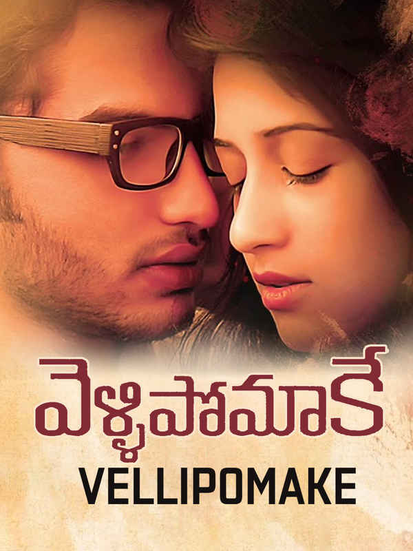 Vellipomakey Poster 7