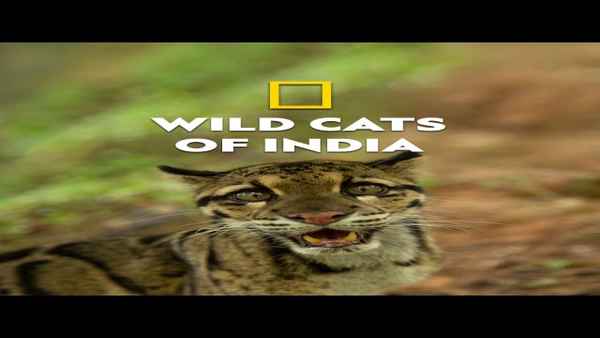 Wild Cats of India Poster 1