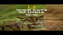 Wild Cats of India Poster 7