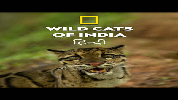 Wild Cats of India Poster 7