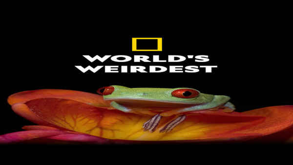 World's Weirdest Poster 5