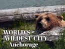 World's Wildest City Anchorage Poster 1