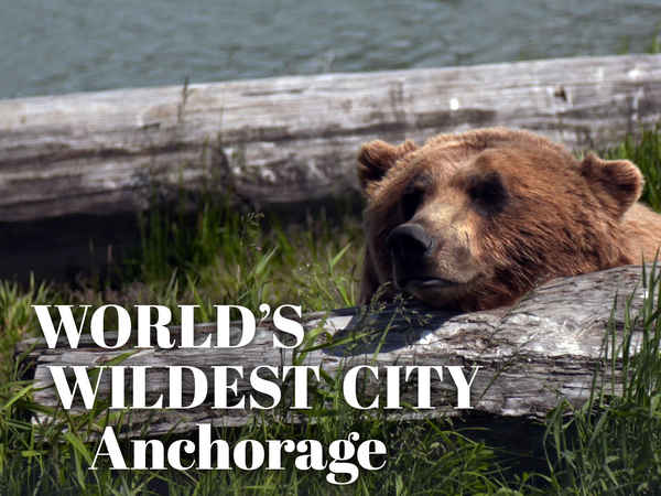 World's Wildest City Anchorage Poster 1