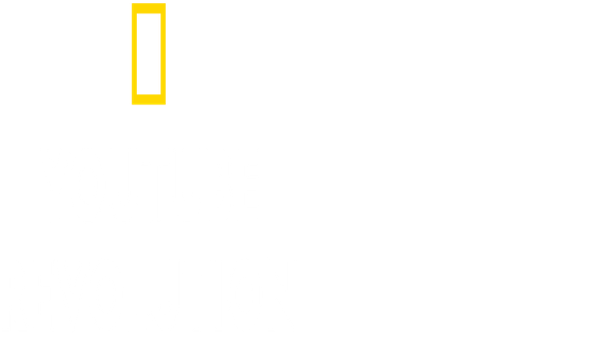 Youtube Revolution Poster 4