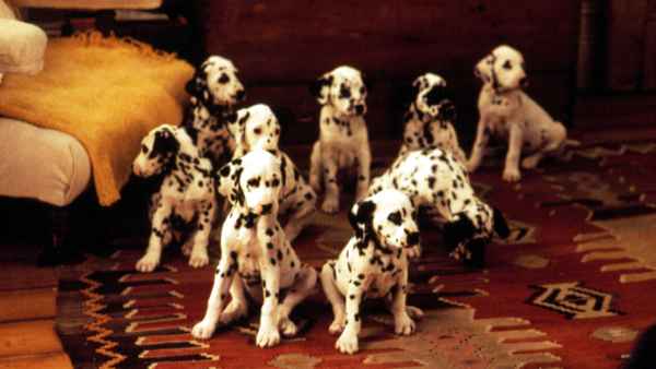 101 Dalmatians Poster 5