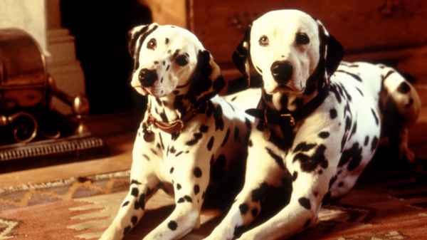 101 Dalmatians Poster 4