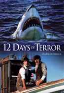 12 Days Of Terror Poster 5