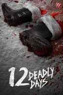 12 Deadly Days Poster 4