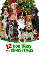 12 Dog Days Till Christmas Poster 1