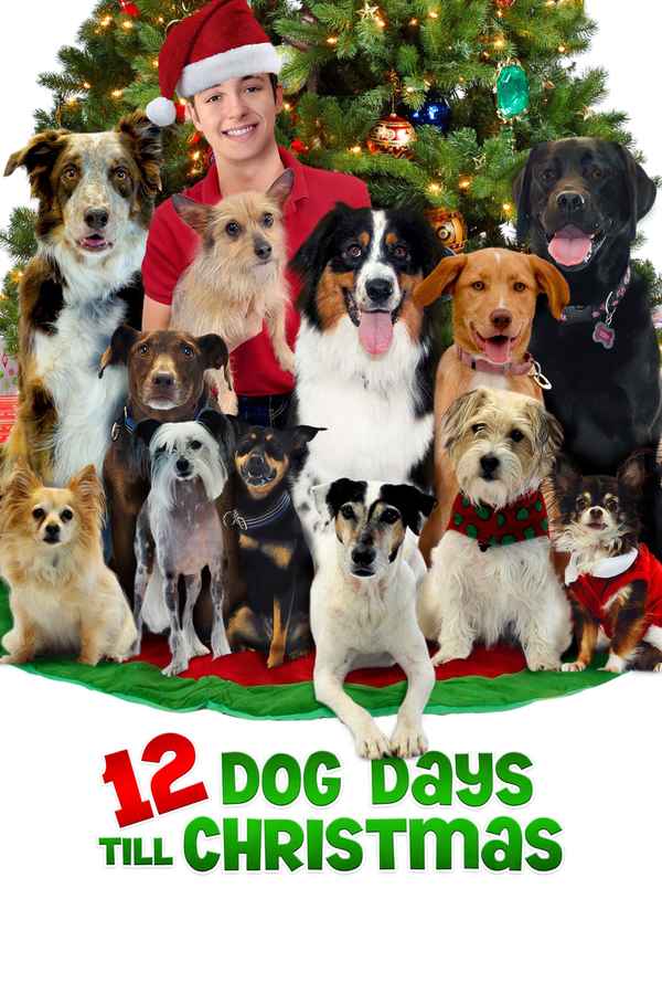 12 Dog Days Till Christmas Poster 1