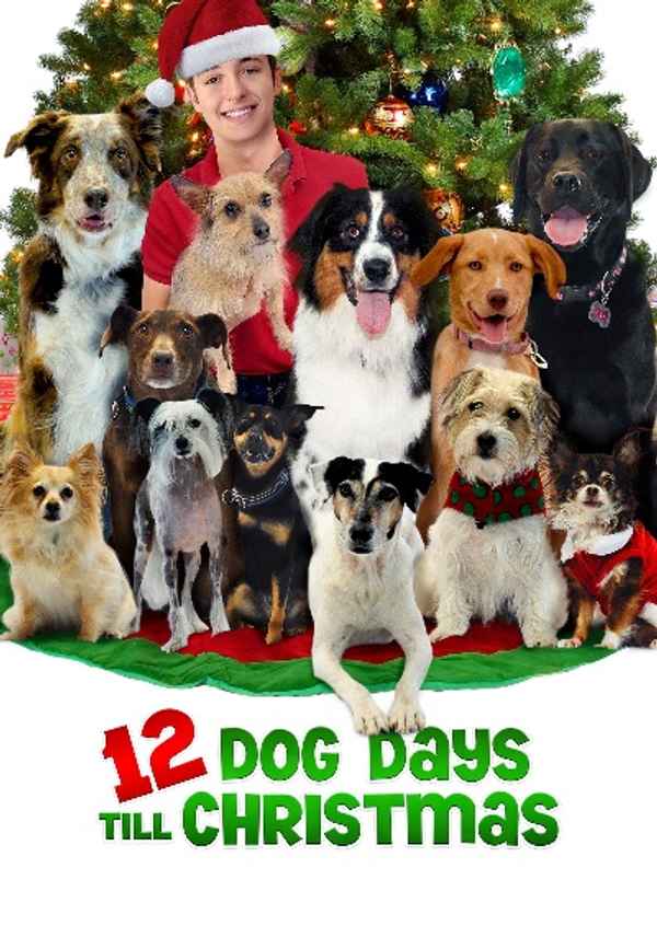 12 Dog Days Till Christmas Poster 6