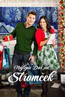 12 Gifts of Christmas Poster 3